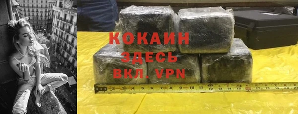 стаф Алзамай