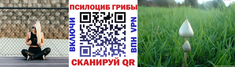 Псилоцибиновые грибы мухоморы Данилов